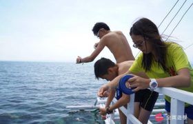 《English Fella 語言學校》週末活動，Nalusuan Island 跳島浮淺，小朋友釣魚中！