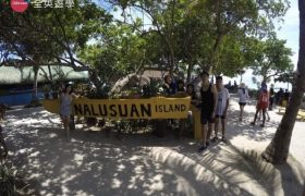 Philinter 語言學校-週末活動（Nalusuan Island 跳島）