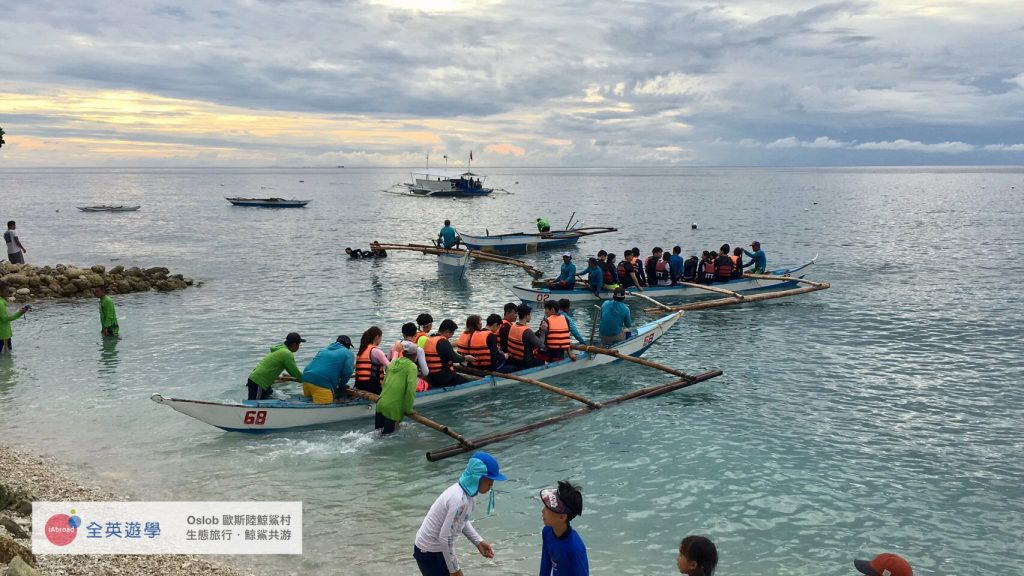 菲律賓歐斯陸鯨鯊共遊
